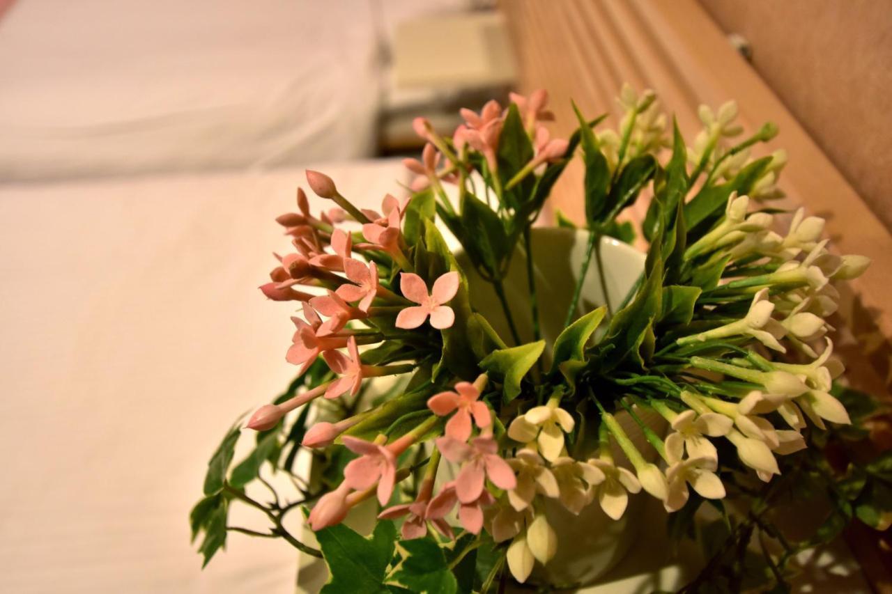 Sakura Story Apartment